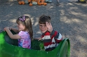 Jess_1stPumpkinPatch (22)